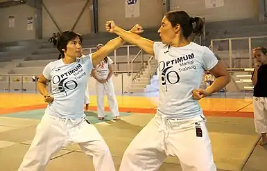 Jessica Buil (à gauche) et Sabrina Buil (à droite) en 2019 à Sète, expliquant un bunkaï lors d'un stage d'entraînement annuel. Jessica Buil attaque d'un tsuki jodan (coup de poing direct au visage) et Sabrina Buil se défend d'un blocage en tetsui (bras tendu, de profil). Leurs deux bras tendus se croisent comme des épées.