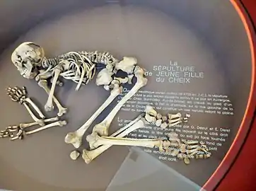 Squelette de la « jeune fille du Cheix ».