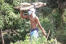 Jeune homme masqué transportant du bois (15 avril 2020).