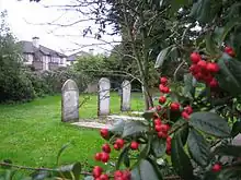 Cimetière juif de Castletroy Limerick (Irlande) où vivait une petite communauté juive (fin du XIXe).