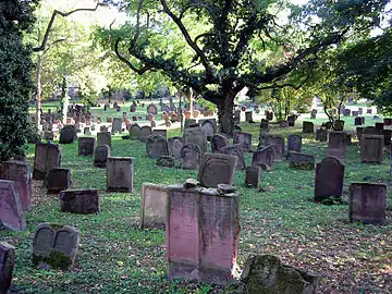 Le cimetière juif de Worms en Allemagne (Heiliger Sand) composé de stèles dressées, selon la tradition ashkénaze.