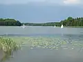 Le lac de Ślesin.