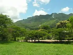 Colline aux environs de Jinotega.