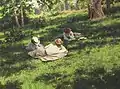 Johan Krouthén : Trois femmes lisant dans un paysage d'été (1908)