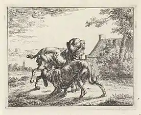 Chien et chienne, gravure, (1661)