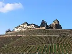 Vignoble de Johannisberg (Rheingau)