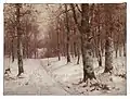 Woods in Winter, 1903