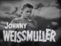 Johnny Weissmuller