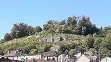 Vestiges d'un château médiéval sur une colline boisée avec la ville en premier plan.