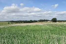 Vue générale du hameau de Wiancourt.