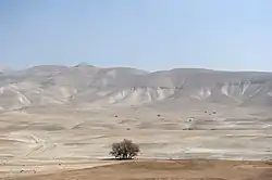 Le paysage de la vallée du Jourdain