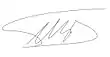 Signature de José Miguel Insulza