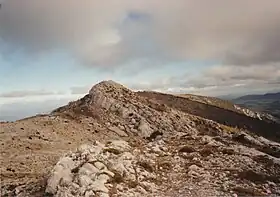 Le Joug de l'Aigle