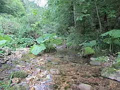 Descente vers le hameau du Moulin.