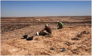 Dégagement d'un complexe datant de l'âge de pierre dans le Dhofar.