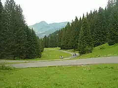 Portion boisée après les télésièges du Grand Pré.