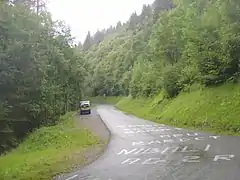 Début d’une portion boisée après la Combe Emeru.