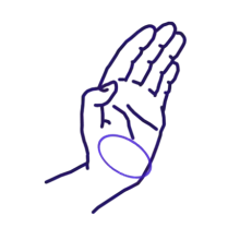 Teisho, technique de main principale du kata Tensho (frappe du talon de la main, doigts ouverts avec la dernière phalange pliée).