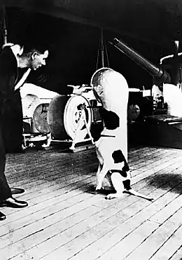 Un marin parle à un chien assis sur le pont d'un bateau.