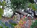 Le dolmen de Curton (oct. 2012)