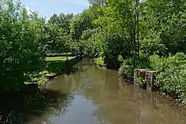 La Juine traversant le parc de Saclas dans l'Essonne.