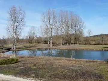 Étang alimenté par la Julie au lieu-dit Gagnole.