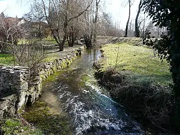 Le Buffebale à Saint-Just.