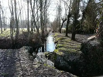 La Julie, en aval du lavoir de La Tour-Blanche.