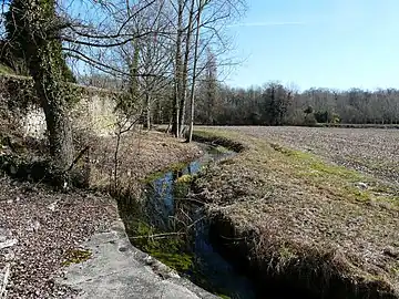 La Julie au pied du château de La Tour-Blanche.