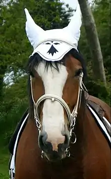 Tête d'une jument marron avec une crinière noire et une grande marque blanche, portant un bonnet blanc avec hermine noire.