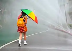 Une femme à la marche des fiertés de Vienne (Autriche) en juin 2019.