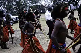 Danseurs traditionnels