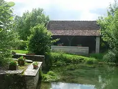 Lavoir et ruines du moulin sur La Maze, un affluent de l'Aube.