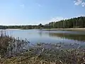 Le lac Köylijärvi