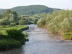 La Târnava Mare (Nagy-Küküllő) près de la ville.