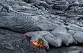 Progression d'une coulée de pāhoehoe en lobes sur le Kīlauea.