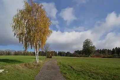 Campagne à Křižánky.