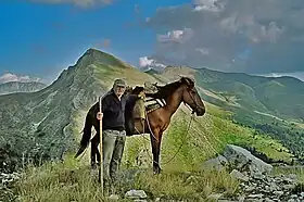 Pindos avec son cavalier près de l'Aspropotamos, en Grèce.