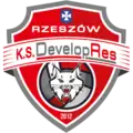 Logo du DevelopRes Rzeszów