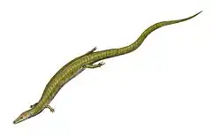 Kaganaias hakusanensis