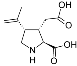 Image illustrative de l’article Acide kaïnique