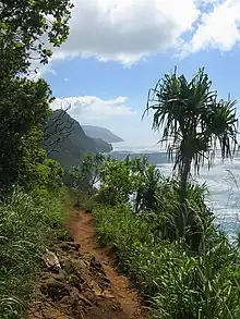 Le long du Kalalau Trail