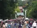 Abords du temple Hachimangu à Kamakura.