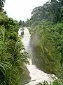 Forêt autour des chutes d'eau Menchum.