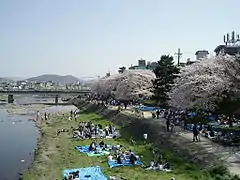 Berges de la rivière Kamogawa, Kyoto.