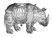 Copie fidèle du rhinocéros de Dürer, seule la queue n'est pas visible.