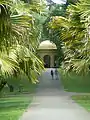 Jardin botanique de Peradeniya.