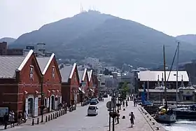 Vue du mont Hakodate.