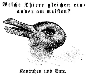 Les paréidolies visuelles font partie des illusions d'optique, comme dans le dessin du canard-lapin.