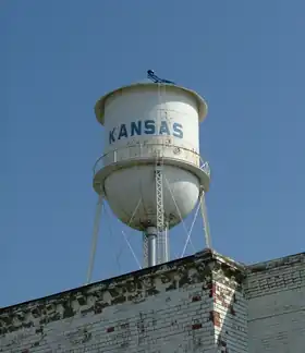 Kansas (Illinois)